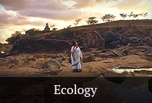 Explore Ecology